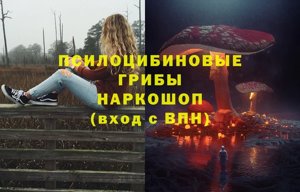 ешки Володарск